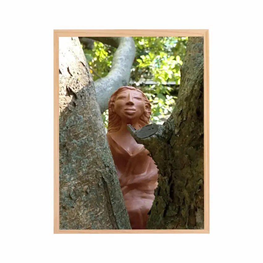 Haumana Présentation